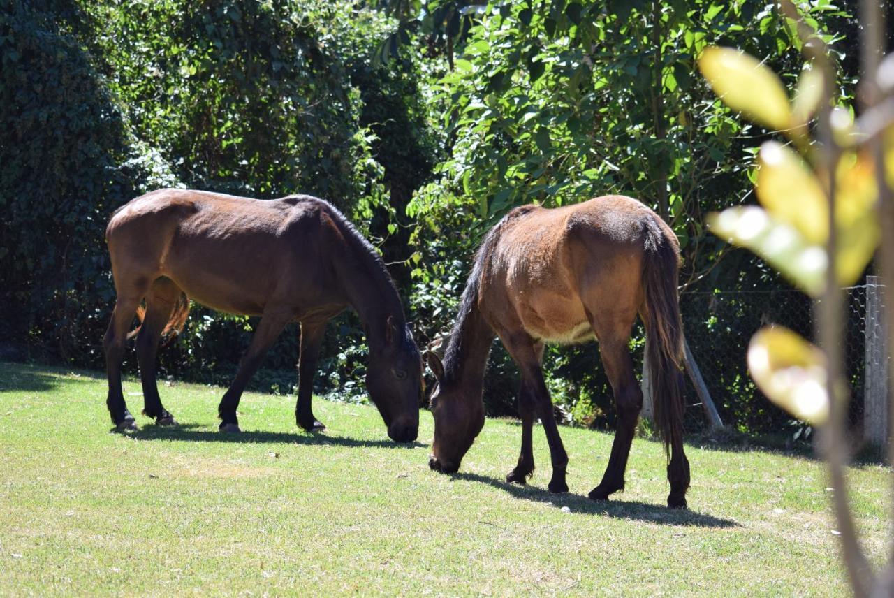 Pousada Appaloosa Águas de Lindóia Extérieur photo
